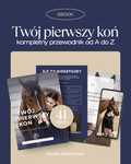 Twój pierwszy koń – kompletny przewodnik od A do Z